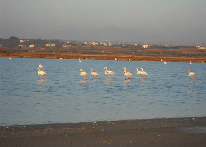 Habitación en casa particular Koukmaris House
