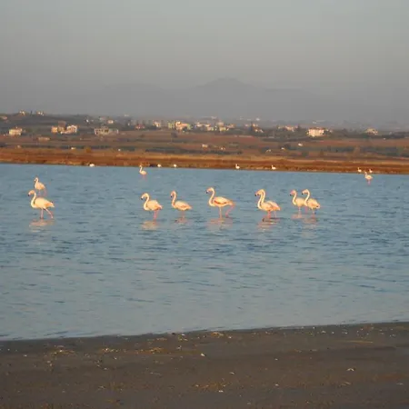 Kwatera prywatna Koukmaris House